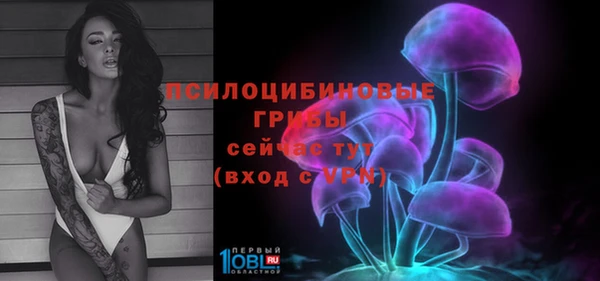 МДМА Алексеевка