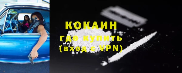 бошки Няндома