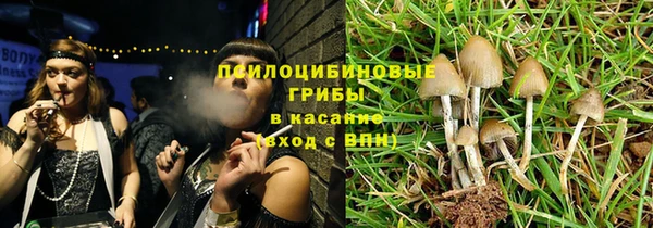 эйфоретик Алексин